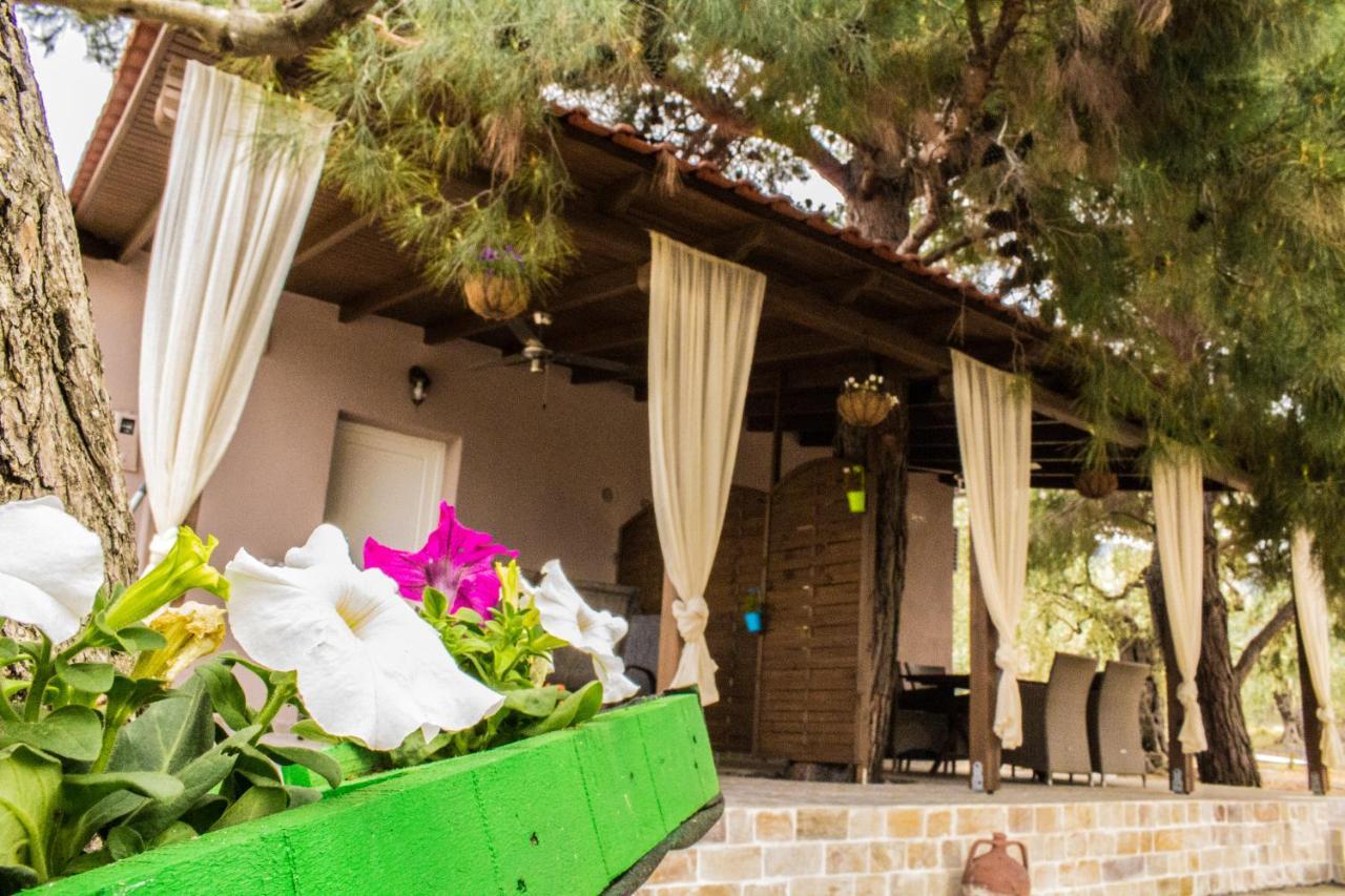 Villa Rona Skala Kallirakhis Ngoại thất bức ảnh
